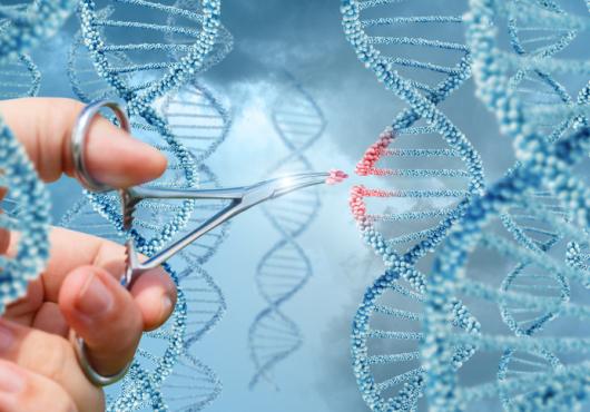 Safeguarding Genes