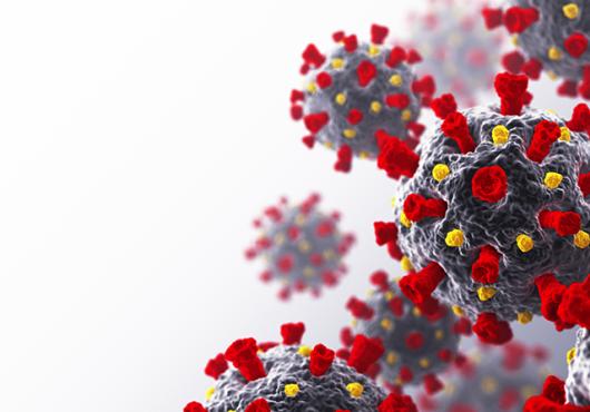 coronavirus