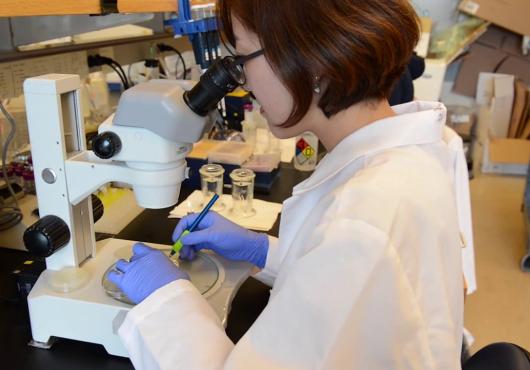 A girl in a lab