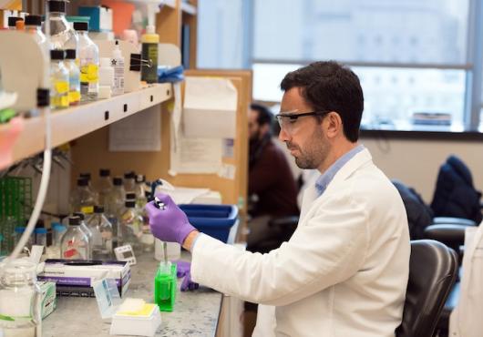 Scientist uses pipette at lab bench