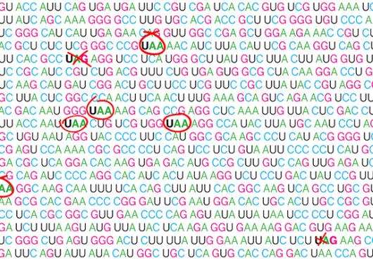 Proofreading Proteins