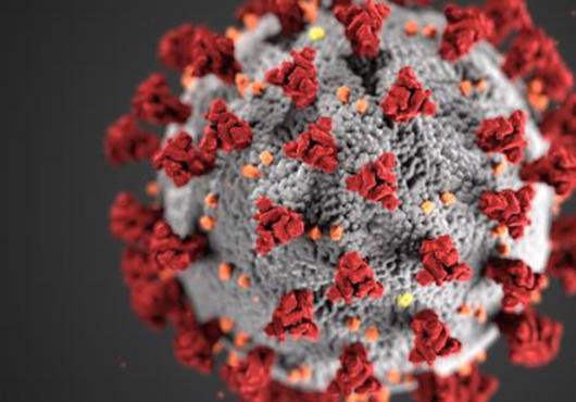 SARS-CoV-2 particle in gray with spikes studding surface in red, against a black background