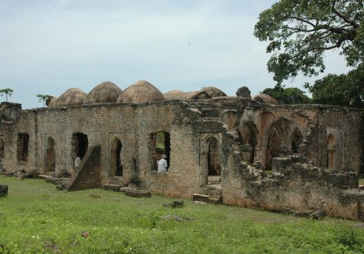 ruins of a long stone wall with domed features amid grass