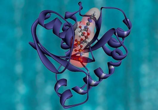 Illustration of KRAS protein