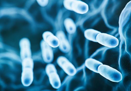 Digital art of an engineered probiotic bacteria