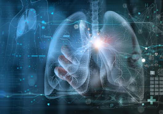 Illustration of lungs with graphs & charts 