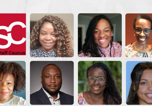Screen grab of a Black Staff Caucus zoom meeting showing some of its members 