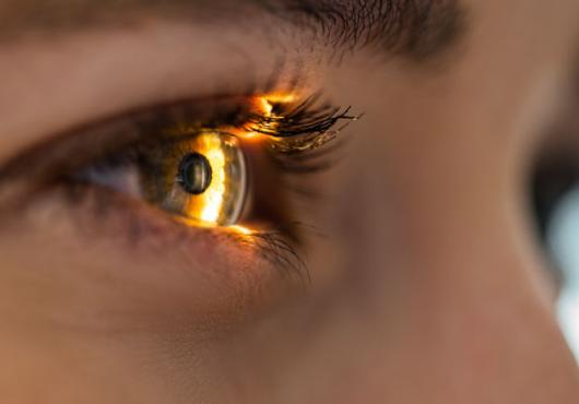 A close up of a human eye