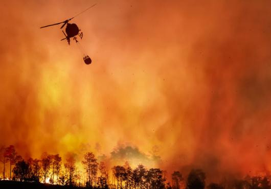 Firefighting helicopter dumping water to extinguish forest fire. Image: Toa55/istock/Getty Images Plus