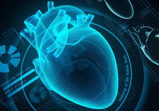 Illustration of a heart x-ray with technology around it, such as a CD