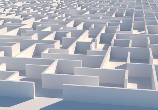 A New Field Of Neuroscience Aims To Map Connections In The Brain A New Field Of Neuroscience Aims To Map Connections In The Brain