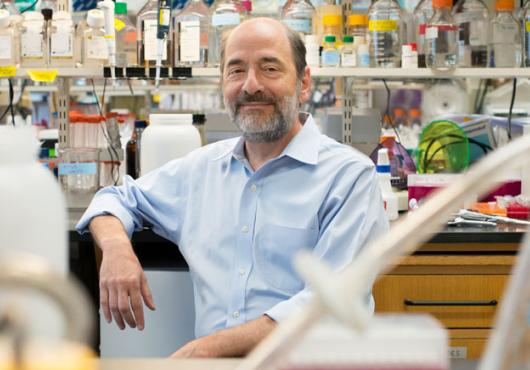 A photo of Greenberg sitting in his lab and leaning on a lab bench, surrounded by lab supplies