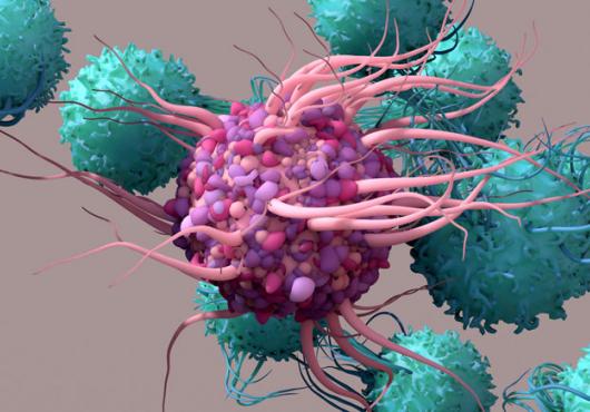 Illustration of a T cell 