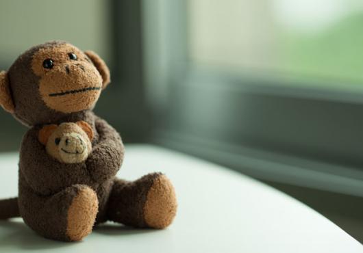 Photo of toy monkey holding a baby toy monkey