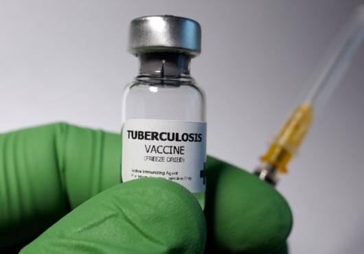 Photo of a gloved hand holding a vial of TB vaccine and a syringe 