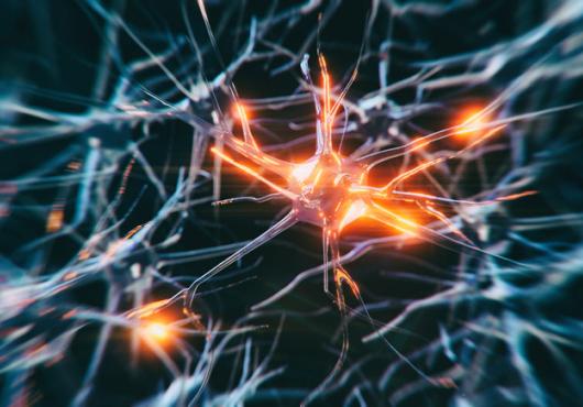 A close up of a network of dark blue neurons on a black background, with spots of glowing orange