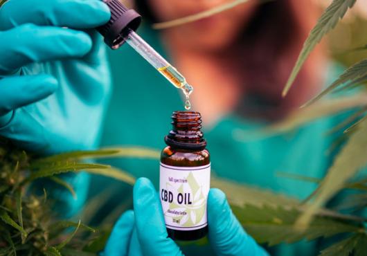 An out-of-focus person surrounded by cannabis plants droppers CBD oil into a small bottle