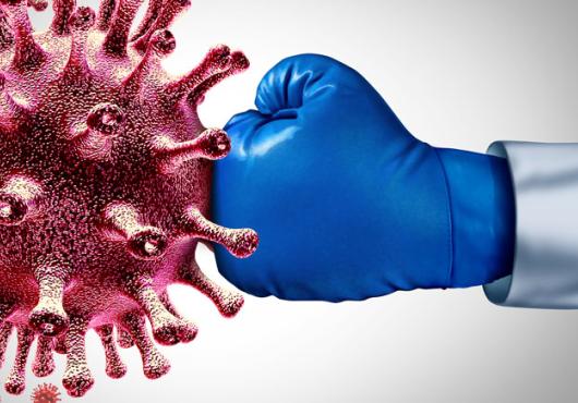 illustration of a boxing glove punching a covid virus