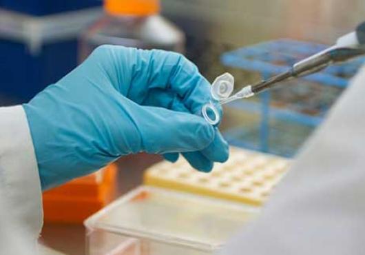 Gloved hands using pipette, test tube 