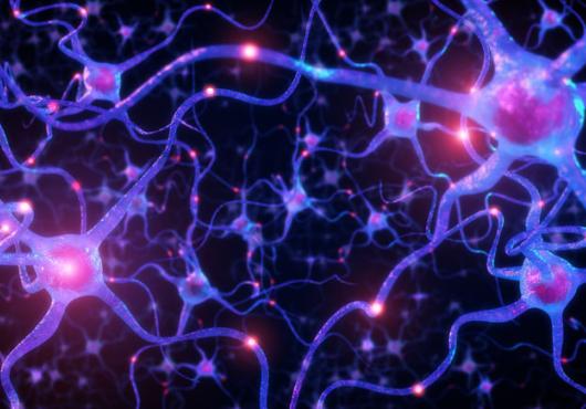 A purple network of neurons lit up in different spots