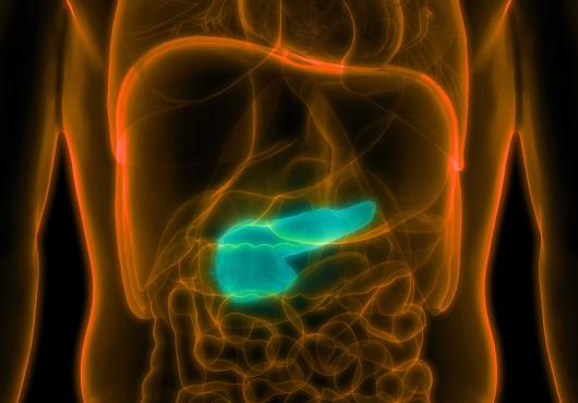 Artist's depiction of a pancreas inside a body