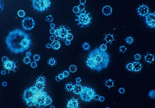 coronavirus