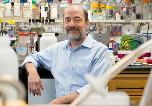 A photo of Greenberg sitting in his lab and leaning on a lab bench, surrounded by lab supplies