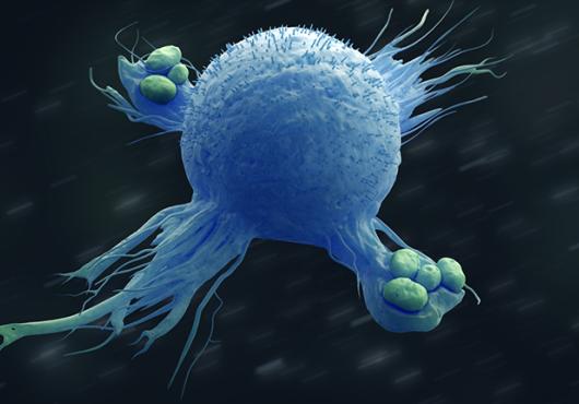 A globe-shaped cell with tendrils reaches out to engulf small bacteria against a dark background