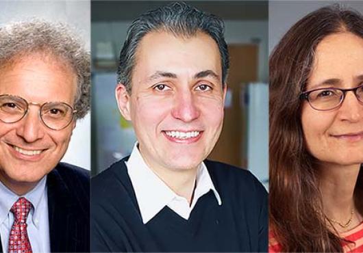HMS researchers Joseph Bonventre, Dan Duda, and Paula Watnick