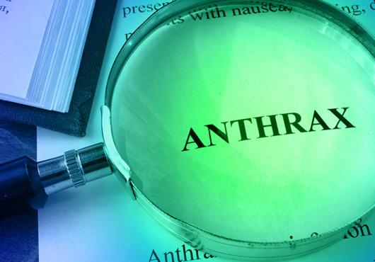 lab plate with anthrax