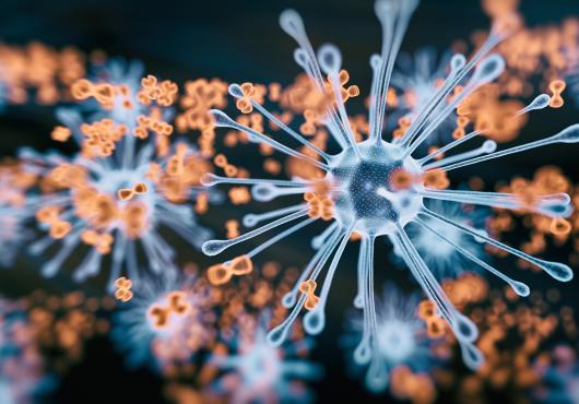 Rendered image of spikey blue virus particle and bow shaped orange antibodies on a black background