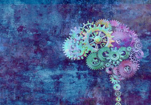 brain
