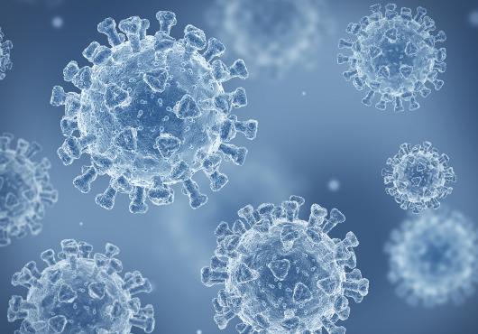 Translucent, spike-covered spheres against an icy blue background