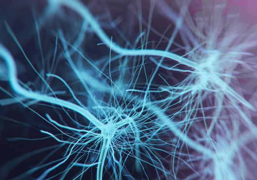neuron system