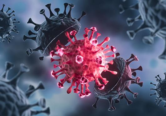 coronaviruses close up