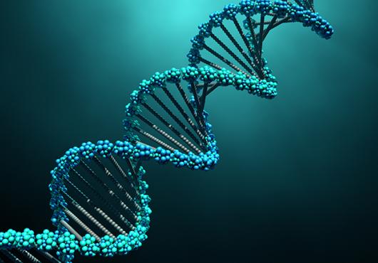 DNA structure