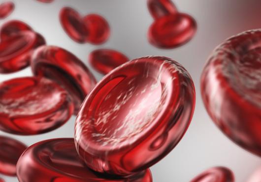 Editing Out Blood Disease