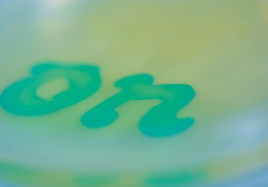 The word on in a petri dish