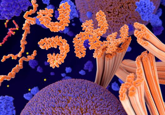 Stylized representation of phosphorylation of tau proteins