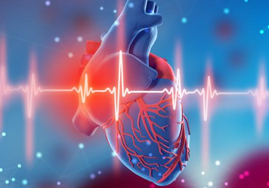 illustration of human heart with EEG readout