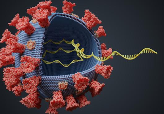 Image of a virus variant 