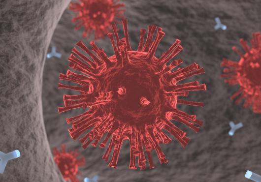 Illustration of coronavirus with antibodies circling it