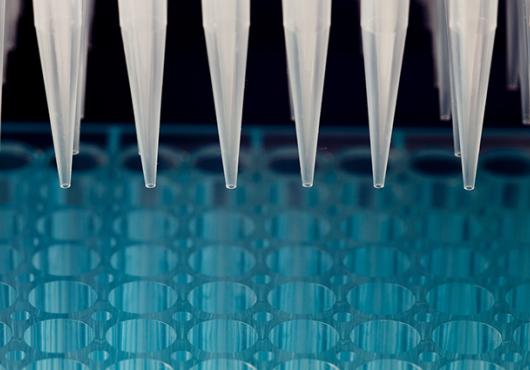 Row of pipettes over a tray of vials