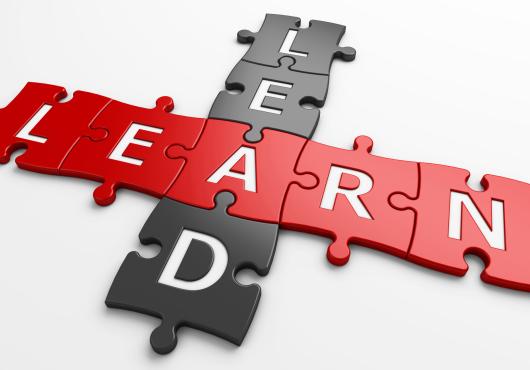 Red and black puzzle pieces spelling out lead and learn