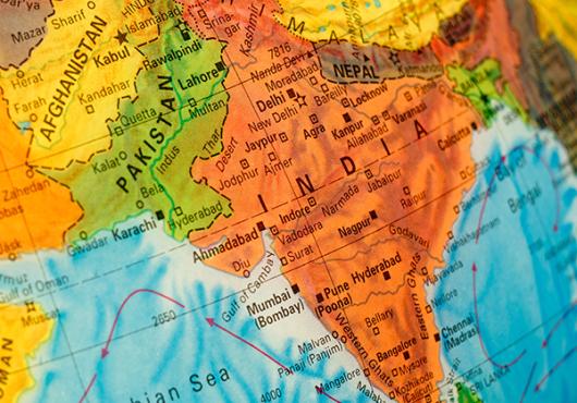 New research explains genetic roots of rare diseases unique to South Asian populations