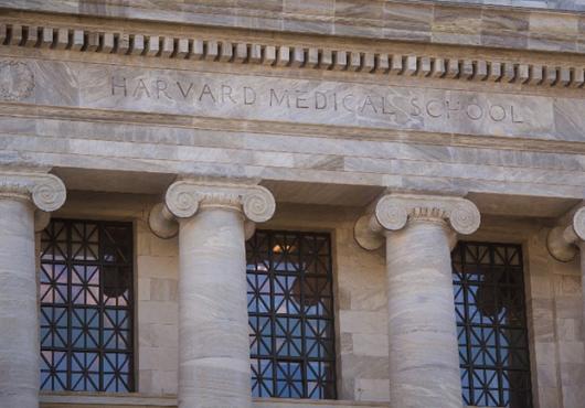 the columns of Gordon Hall