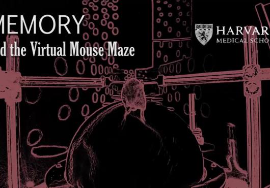 A sketch of a mouse running through a maze