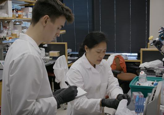 two researchers working at a lab bench