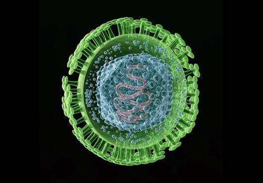 microscopy image of herpes simplex virus