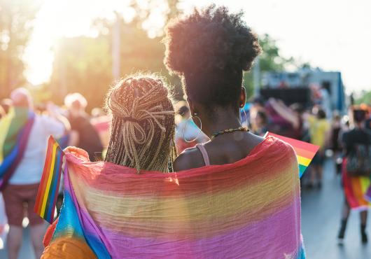 Rear view image of two people with braided, long hair, wrapped in a rainbow scarf walking with other people waving rainbow flags 